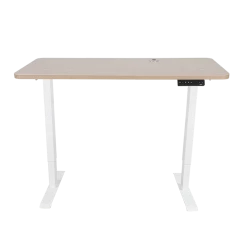 Palermo Standing Desk Sit Stand Height Adjustable Motorised 120cm Table Dual Motor Furniture