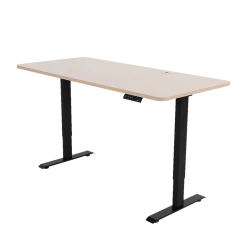 Furniture Palermo Standing Desk Sit Stand Height Adjustable Motorised 160cm Table Dual Motor