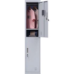 Salvatore Angelotti Furniture Grey 2-Door Locker For Office Gym Shed School Home Storage - Standard Lock With 2 Keys