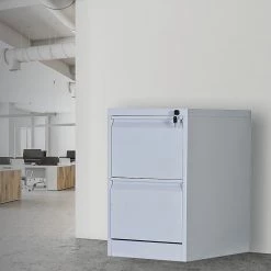 Salvatore Angelotti 2-Drawer Shelf Office Gym Filing Storage Locker Cabinet - Grey Furniture