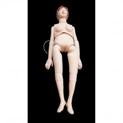Randy & Travis Machinery Games & Hobbies Anatomical Human Patient Care Manikin Model