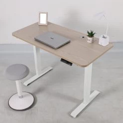 Palermo Standing Desk Sit Stand Height Adjustable Motorised 120cm Table Dual Motor Furniture