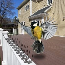 Brienz Bird Spikes - Polycarbonate Zig-zag 10 Metre Bundle