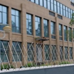 Randy & Travis Machinery Outdoor & Leisure 20x 50cm Bird Spike S304 Wire Spikes Eaves Pigeon Gull Starling 10M