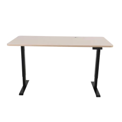 Furniture Palermo Standing Desk Sit Stand Height Adjustable Motorised 160cm Table Dual Motor