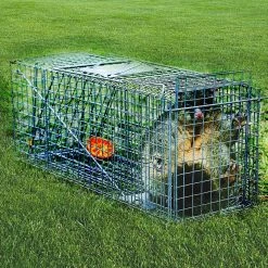 Randy & Travis Machinery Trap Humane Possum Cage Live Animal Safe Catch Rabbit Cat Hare Fox Bird Home & Lifestyle