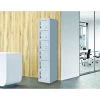 Salvatore Angelotti Grey 6-Door Locker For Office Gym Shed School Home Storage - 4-Digit Combination Lock Furniture