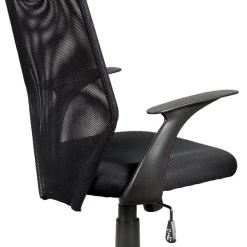 Palermo Ergonomic Mesh Office Chair