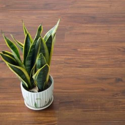 Randy & Travis Machinery Vinyl Floor Tiles Self Adhesive Flooring Walnut Wood Grain 16 Pack 2.3SQM