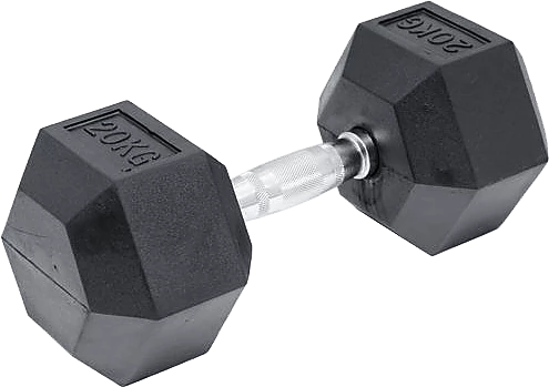 Randy & Travis Machinery Sports & Fitness 20kg Commercial Rubber Hex Dumbbell Gym Weight