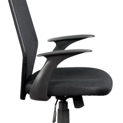 Palermo Ergonomic Mesh Office Chair