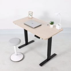 Palermo Standing Desk Sit Stand Height Adjustable Motorised 120cm Table Dual Motor Furniture