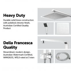 Della Francesca DIY & Renovation 2-in-1 Massage Hand Shower & Head Tap Bathroom Mixer